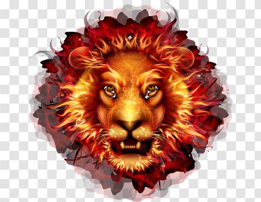 Lionhead Fire Flame - Silhouette - Lion Transparent PNG