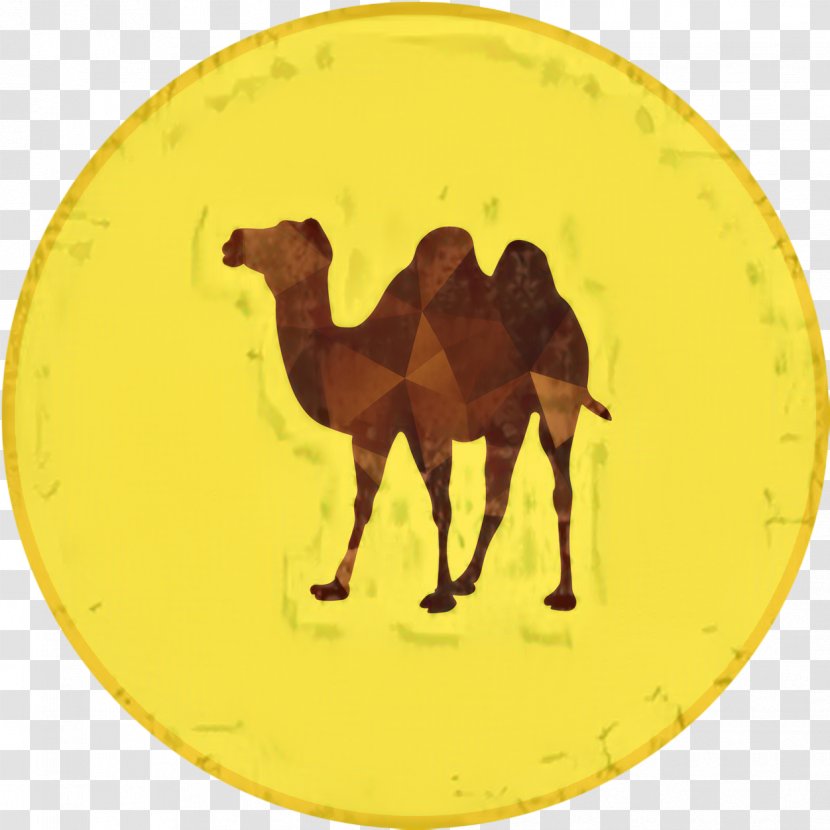 Llama Cartoon - Yellow - Fawn Landscape Transparent PNG