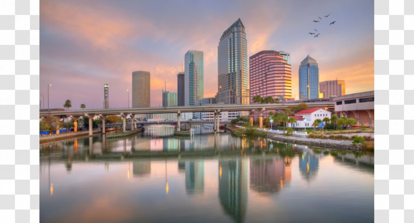 Downtown Tampa Bay Stock Photography Hotel - Skyscraper Transparent PNG