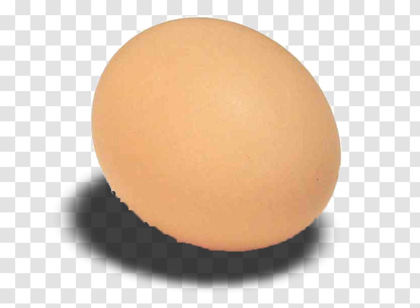 Ternua Sphere XL Egg - Xl - Aurora Oregon Transparent PNG