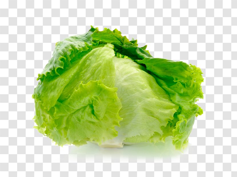 Iceberg Lettuce Salad Vegetable Fruit Cultivar Transparent PNG