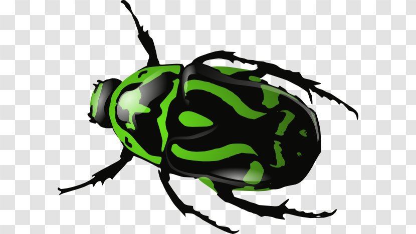 Beetle Download Clip Art - Membrane Winged Insect - Beatles Cliparts Transparent PNG