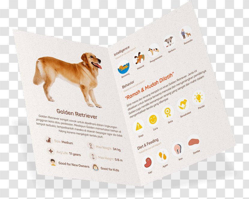 Dog Breed Puppy - Carnivoran Transparent PNG