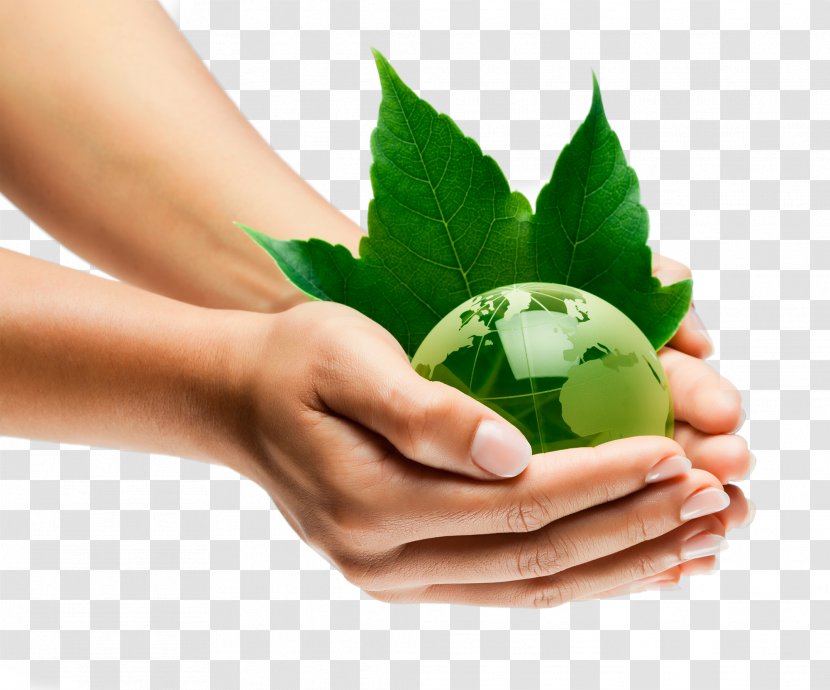 Environmental Resource Management Natural Environment Sustainable Development Sustainability Organization - Alternative Medicine - Holding Green Earth Transparent PNG