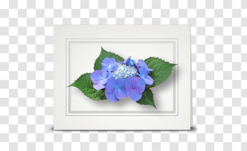 Hydrangea Cut Flowers Violet Floristry Transparent PNG