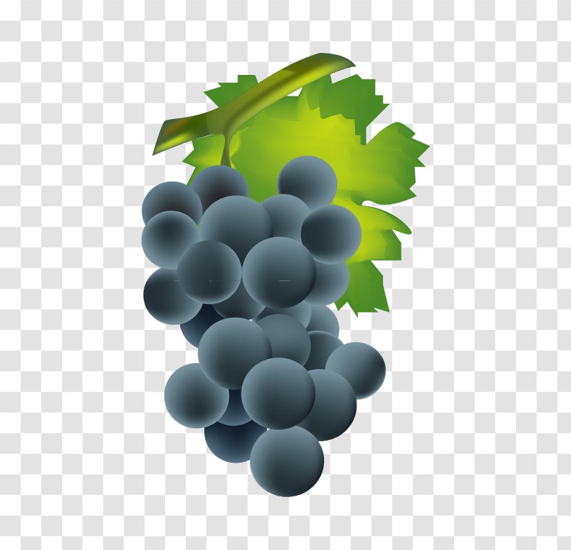 Common Grape Vine Wine Euclidean Vector - Grapevines - Grapes Transparent PNG