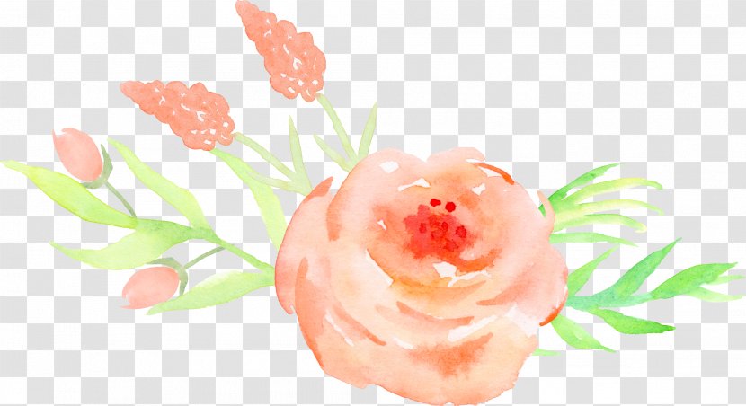 Watercolor Painting Rose - Food - Orange Roses Decorative Pattern Transparent PNG