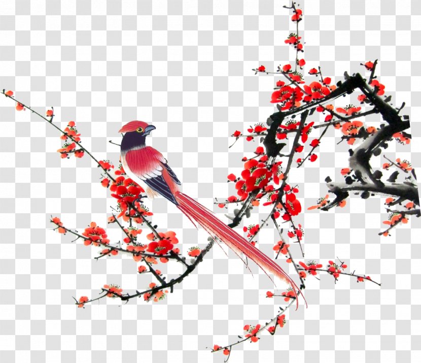 Bird Plum Blossom Eurasian Magpie - Branch - Very Happy Transparent PNG