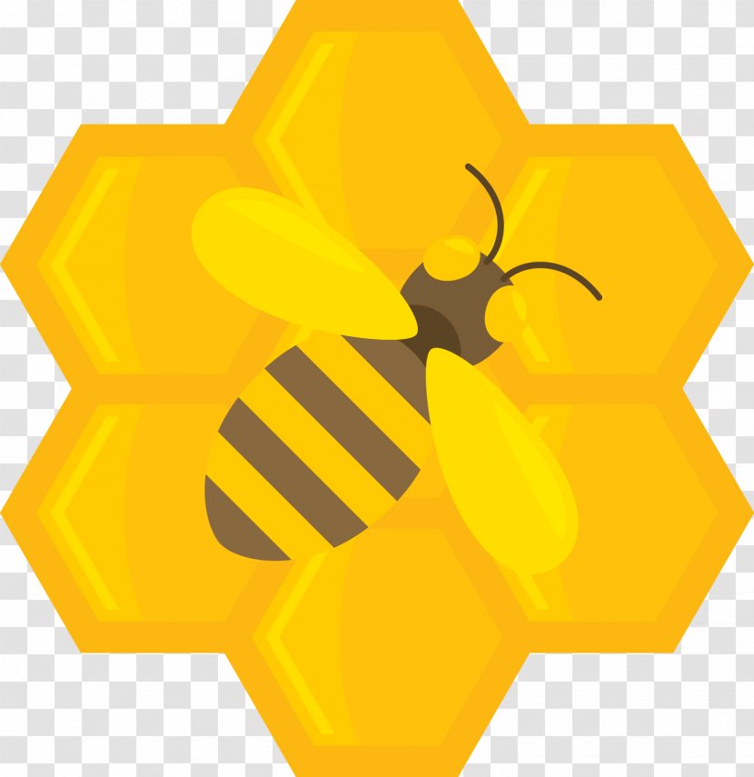 Bee Honey Icon - Honeycomb Structure - Flat Cartoon Transparent PNG