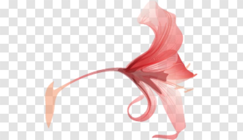 Petal Red Flower - Flowering Plant Transparent PNG