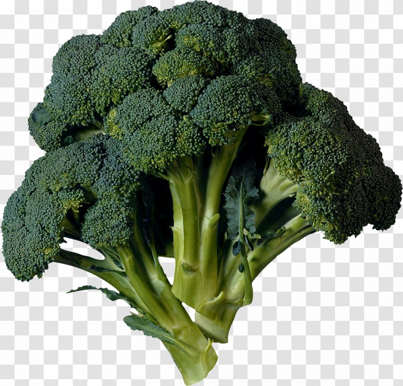Broccoli Cabbage Kohlrabi Vegetable Cauliflower - Side Dish - Image Transparent PNG