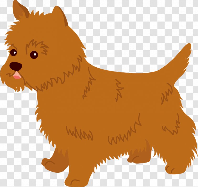 Tangled Background - Yorkshire Terrier - Scottish Dandie Dinmont Transparent PNG