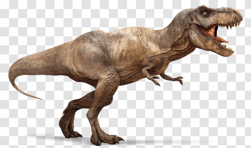 Velociraptor Tyrannosaurus Rex Spinosaurus Dinosaur Theropods - Soft Tissue - T Transparent PNG