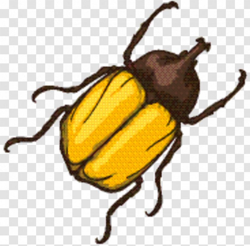 Cartoon Bee - Japanese Beetle - Darkling Beetles Transparent PNG