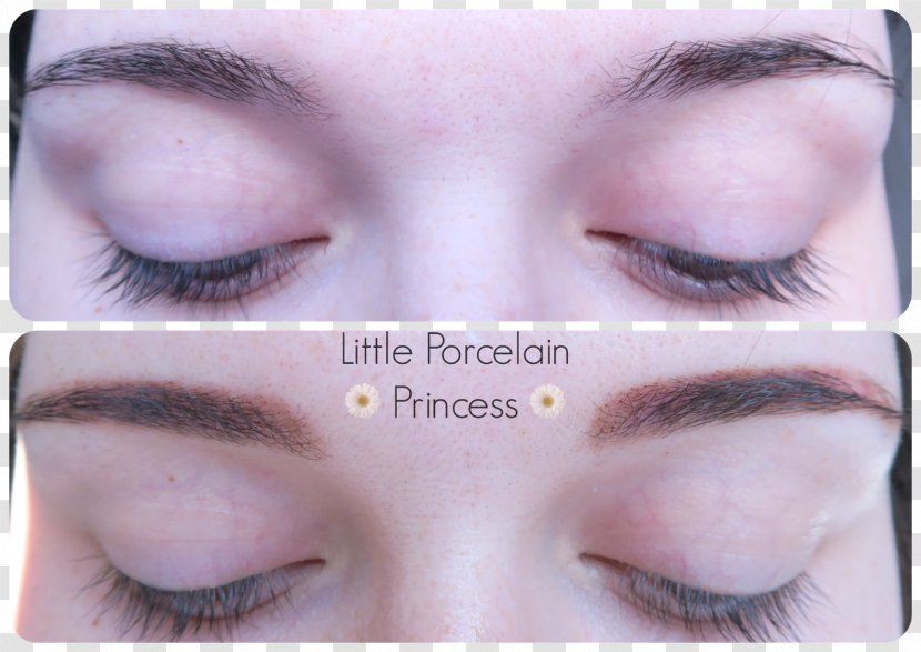 Eyebrow Eye Shadow Cosmetics Eyelash - Forehead - Brow Transparent PNG
