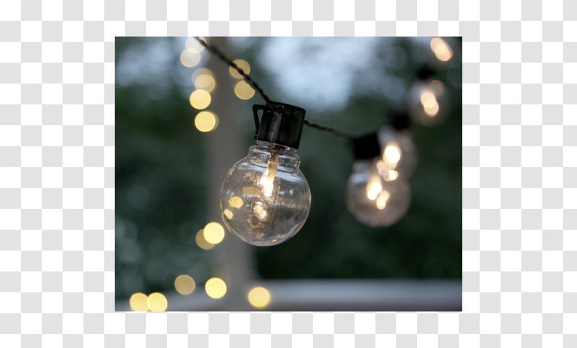 Lighting Lichtslang Incandescent Light Bulb Light-emitting Diode - Party Transparent PNG