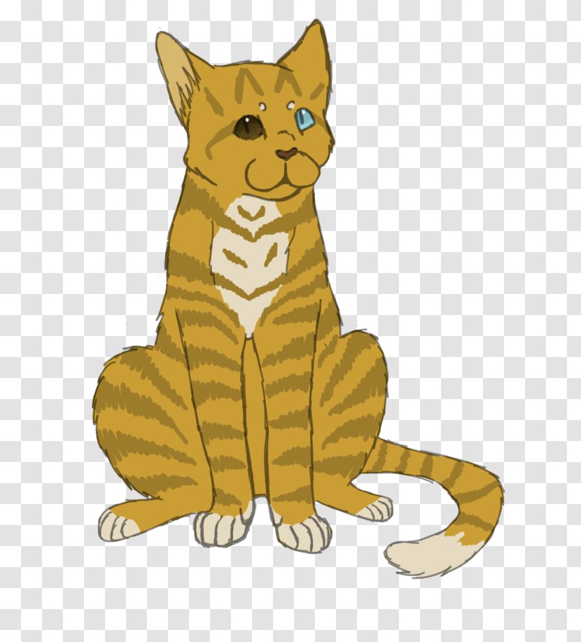 Whiskers Tiger Lion Red Fox Cat - Dog Transparent PNG