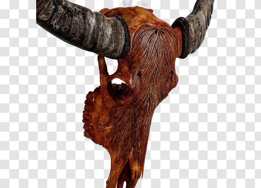 Animal Skulls Cattle Horn - Delivery - Buffalo Skull Transparent PNG