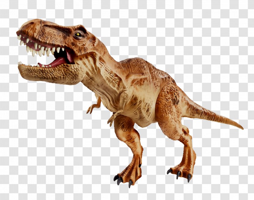 Tyrannosaurus Velociraptor Fauna Terrestrial Animal Transparent PNG