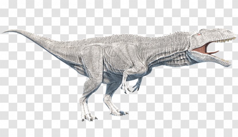 Tyrannosaurus Primal Carnage: Extinction Acrocanthosaurus Dinosaur - Velociraptor Transparent PNG