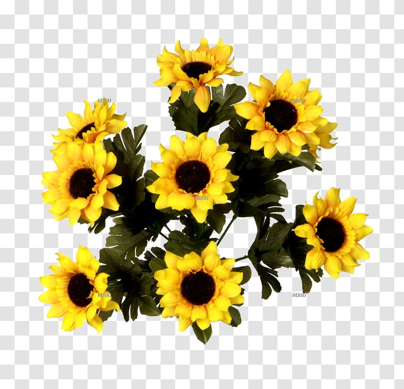 Common Sunflower Floral Design Cut Flowers Flower Bouquet - Seed Transparent PNG