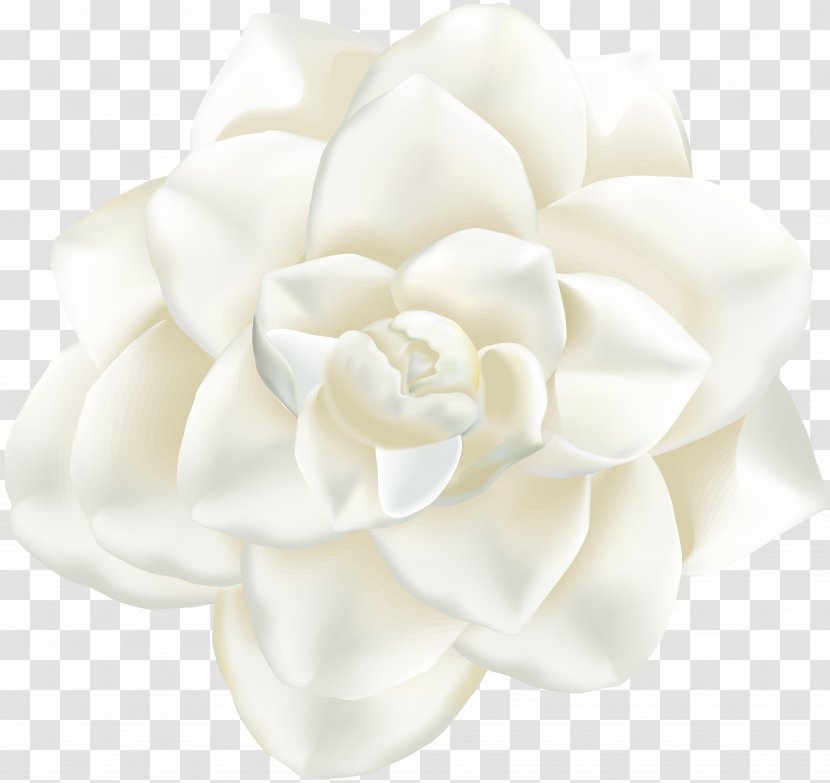 Cut Flowers Cape Jasmine Petal - Rose - White-lilies Transparent PNG