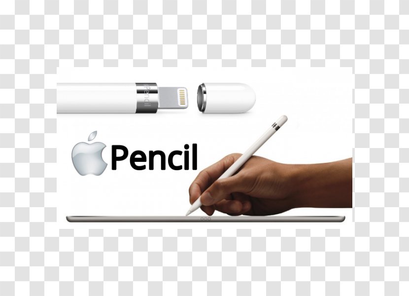 Apple Pencil IPad Stylus Computer - Office Supplies Transparent PNG
