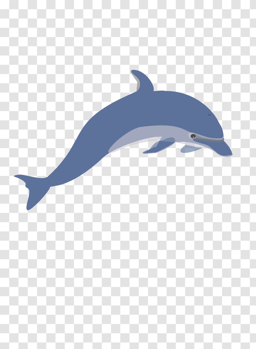 Common Bottlenose Dolphin Tucuxi Clip Art - Short Beaked Transparent PNG
