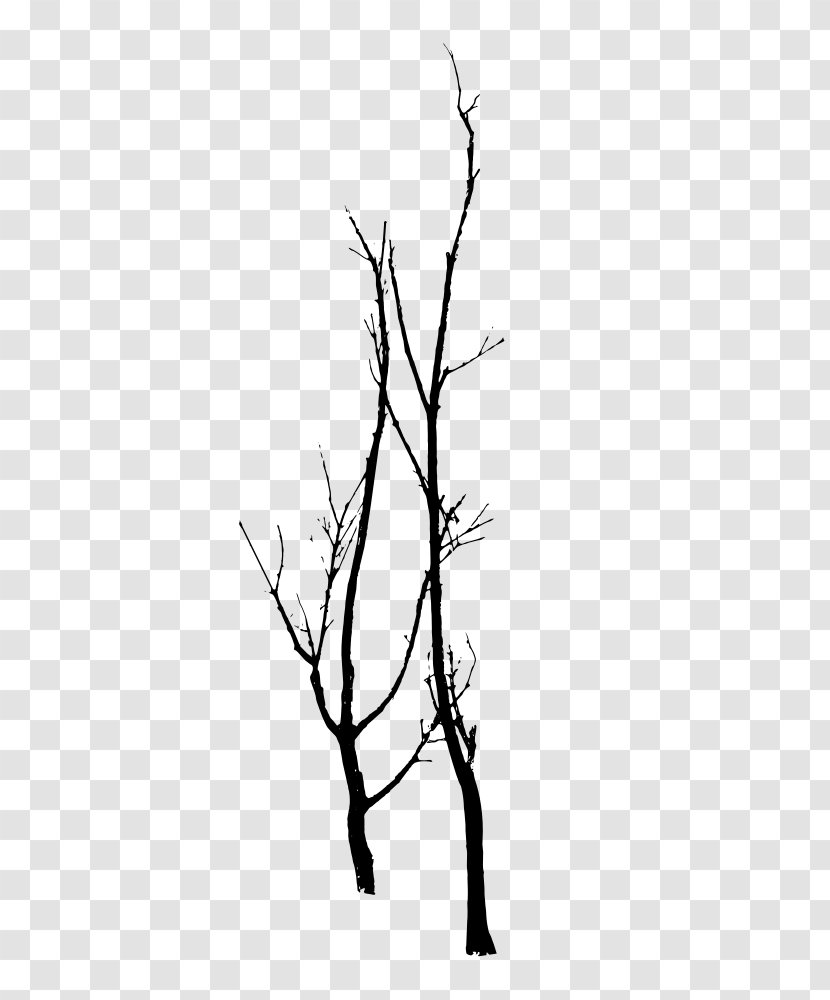 Twig Gum Trees Silhouette Branch - Tree Line Transparent PNG