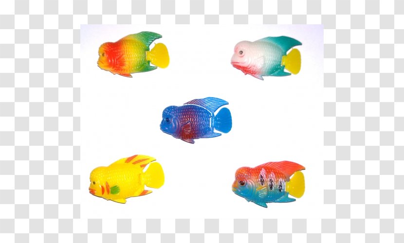 Plastic Fish - Organism - Flowerhorn Transparent PNG