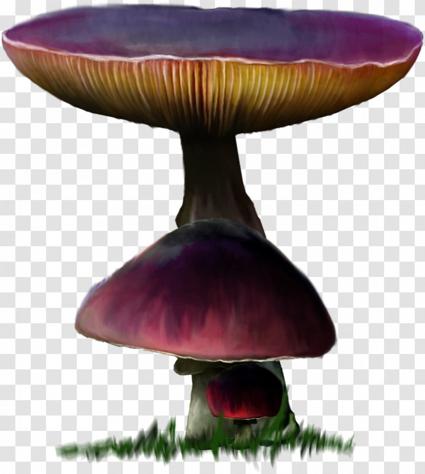 Mushroom Download - Furniture Transparent PNG