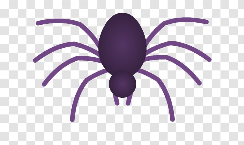 Spider Web Pholcus Phalangioides Clip Art - Organism Transparent PNG