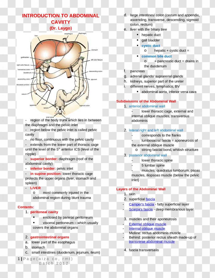 Line Organism Brochure Rita Of Cascia - Area Transparent PNG