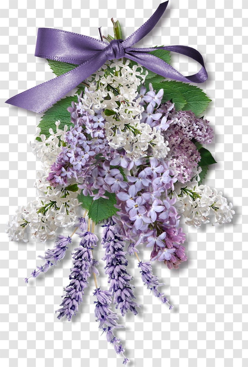 Wisteria Sinensis Flower Purple Download - Cut Flowers - Lilac Transparent PNG