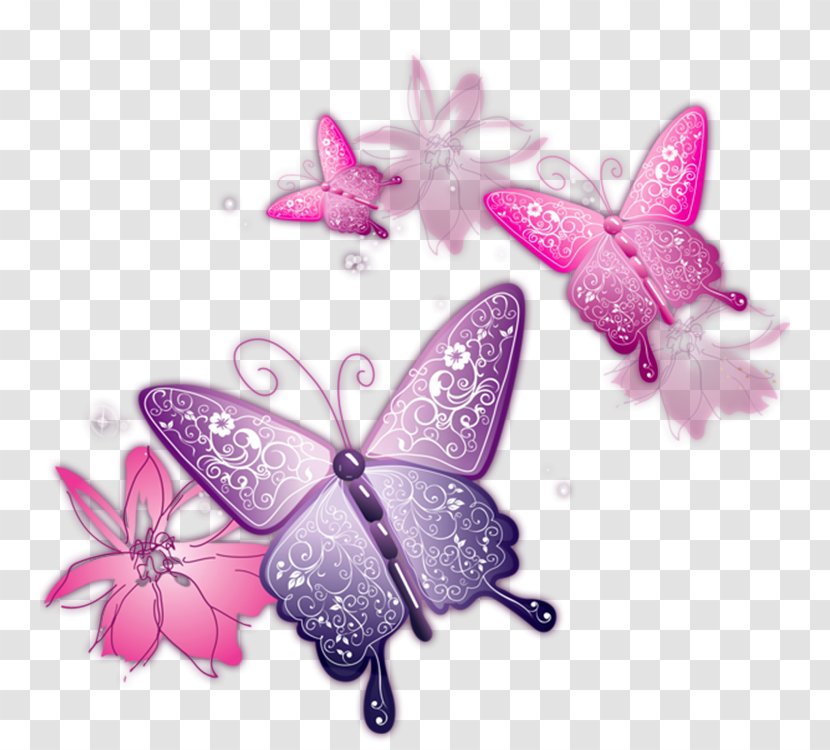 Clip Art Butterfly Transparency Vector Graphics - Invertebrate - Pink Transparent PNG