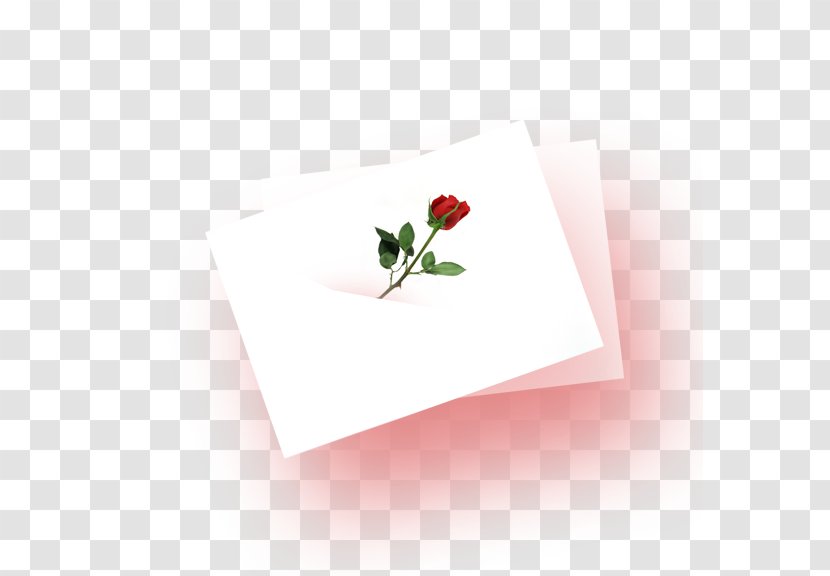 Petal Rose Vase Heart Wave - Flower - Stacked Stationery Transparent PNG