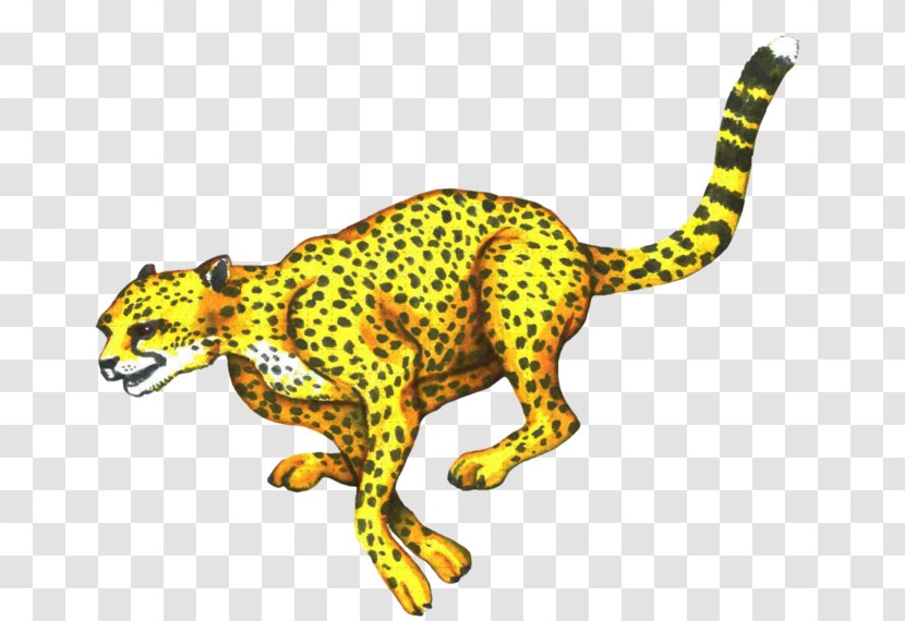 Cheetah Leopard Jaguar Cat Terrestrial Animal - Carnivoran Transparent PNG