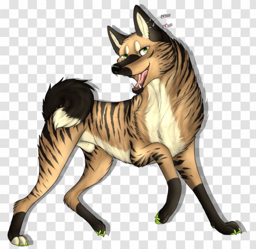 Whiskers Cat Horse Dog Mammal - Claw - Happy B.day Transparent PNG