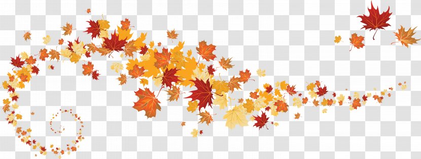 Maple Leaf Autumn Color - Leafe Transparent PNG
