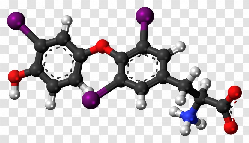 Chemical Compound 3,3'-Diiodothyronine Ethyl Cinnamate Cinnamic Acid Levothyroxine - Silhouette - Watercolor Transparent PNG