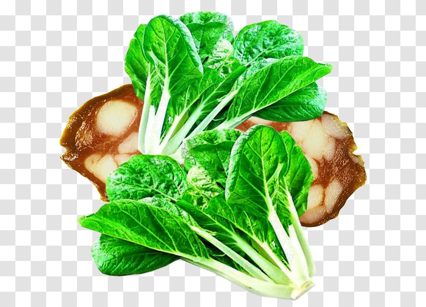Chinese Sausage Romaine Lettuce Mortadella Choy Sum - Bok - The Real Cabbage Transparent PNG