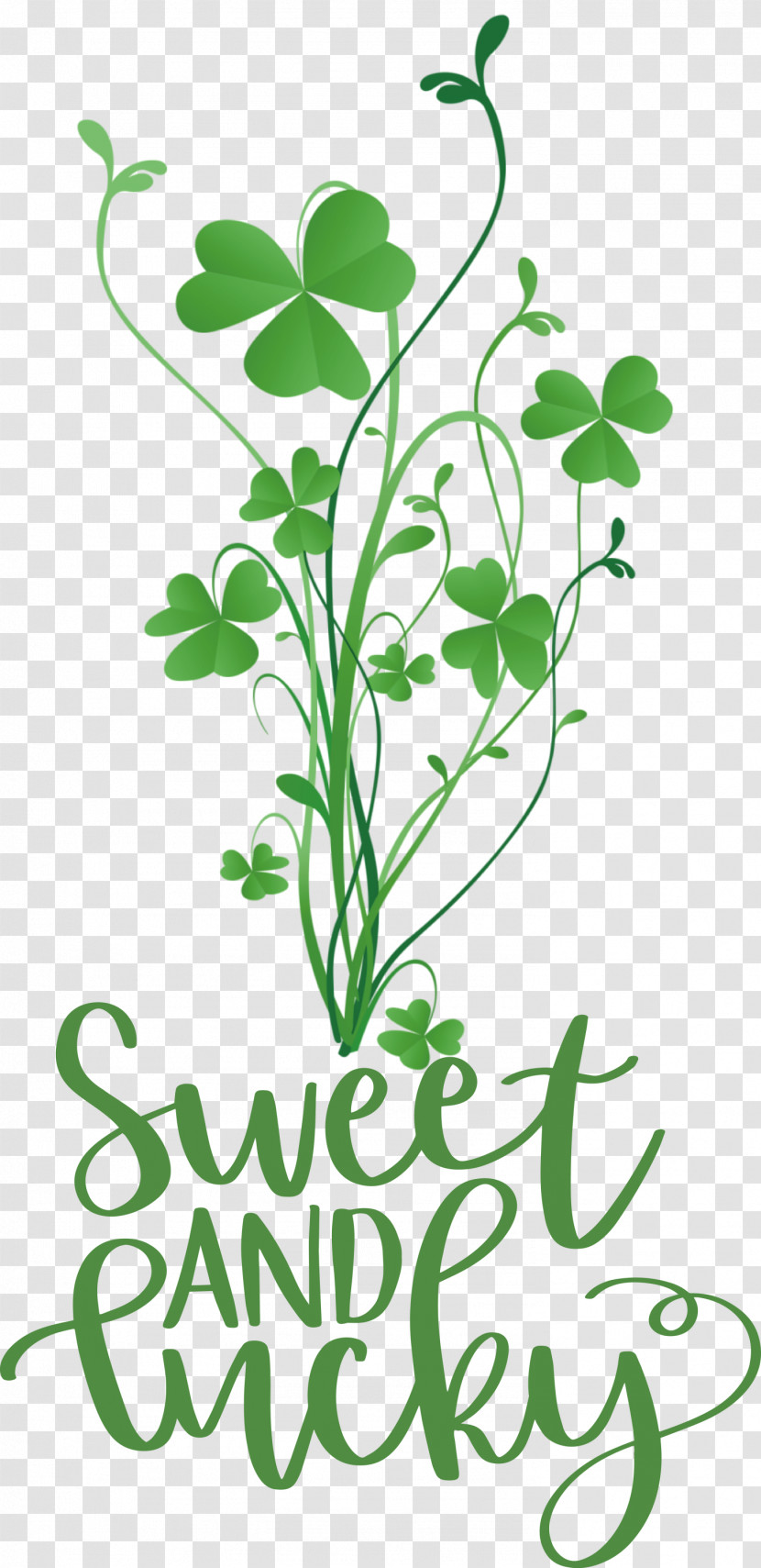 Sweet And Lucky St Patricks Day Transparent PNG