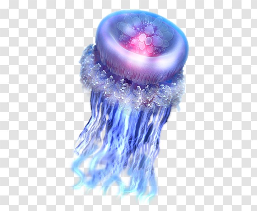 Jellyfish Sea Clip Art - Aquatic Animal - Creature Transparent PNG