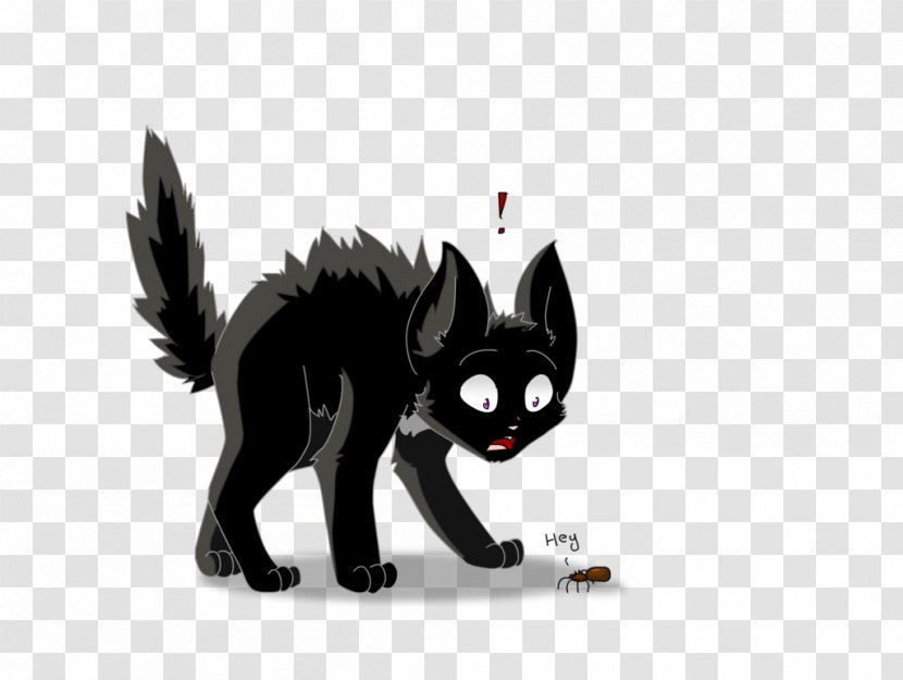 Warriors: The New Prophecy Cat Kitten Ravenpaw - Black Transparent PNG