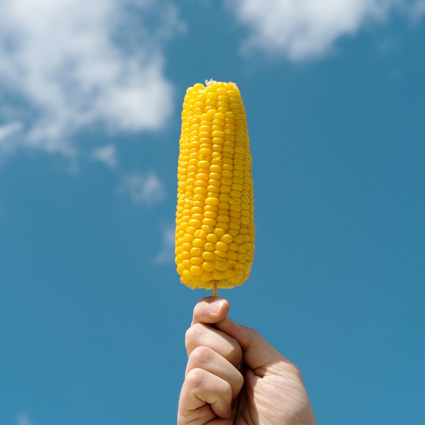 Maize Corn On The Cob Food Sweet Common Bean - Baekho Transparent PNG