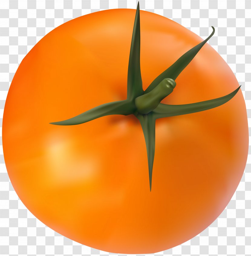 Tomato Clip Art - Christmas - Orange Vegetables Transparent PNG
