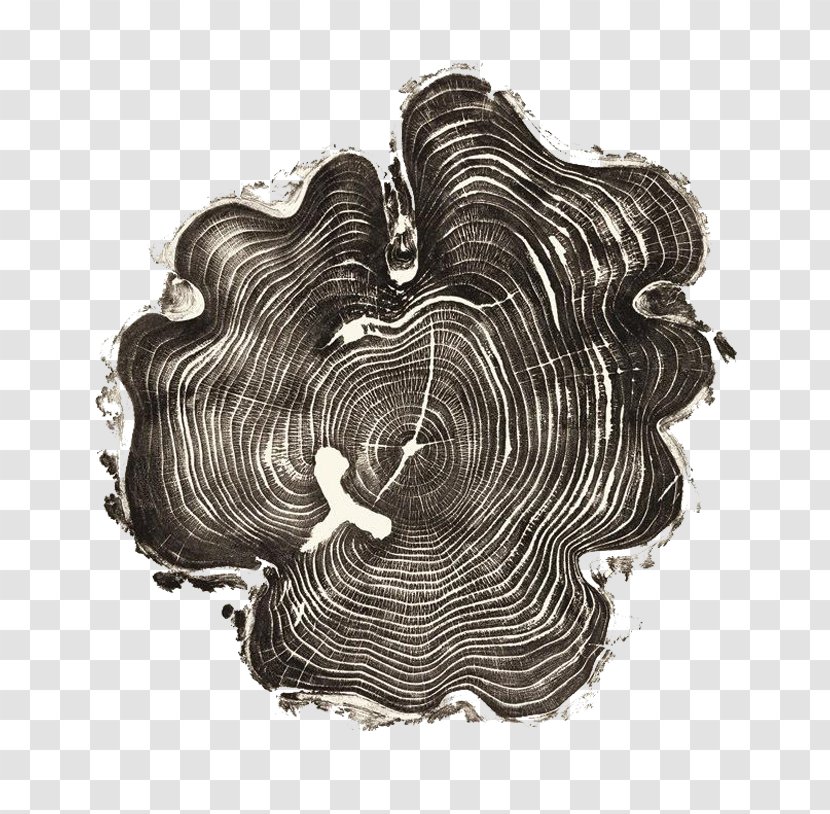 United States Woodcut Artist Printmaking Tree - Rings Transparent PNG