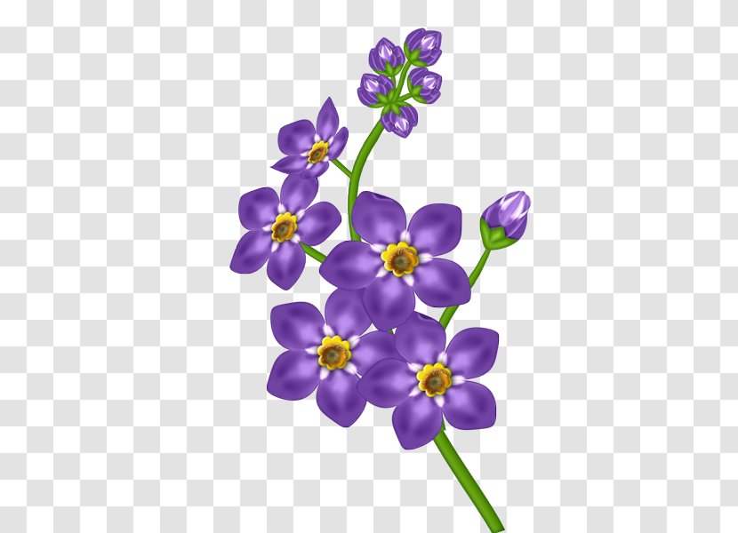 Purple Flower Violet Clip Art - Moth Orchid - No Flowers Cliparts Transparent PNG