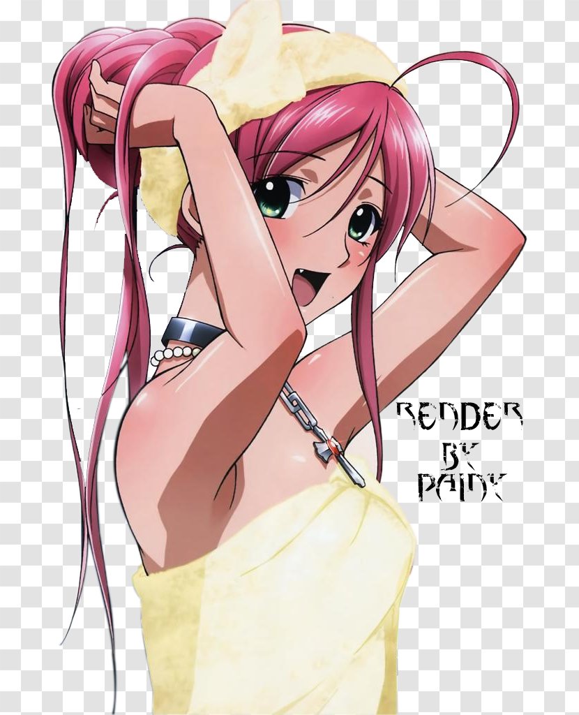 DeviantArt Artist Moka Akashiya Rosario + Vampire - Silhouette - Mother Transparent PNG