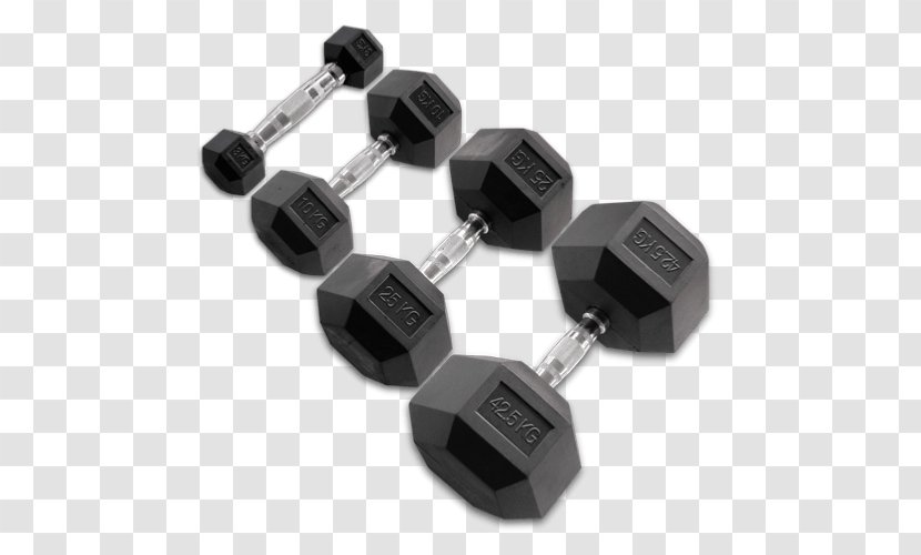 Dumbbell Natural Rubber Olympic Weightlifting Weight Training - Tree Transparent PNG